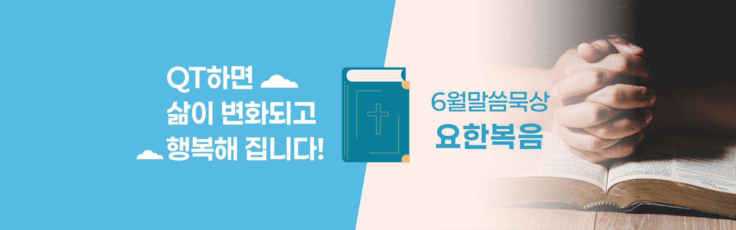 6월 qt
