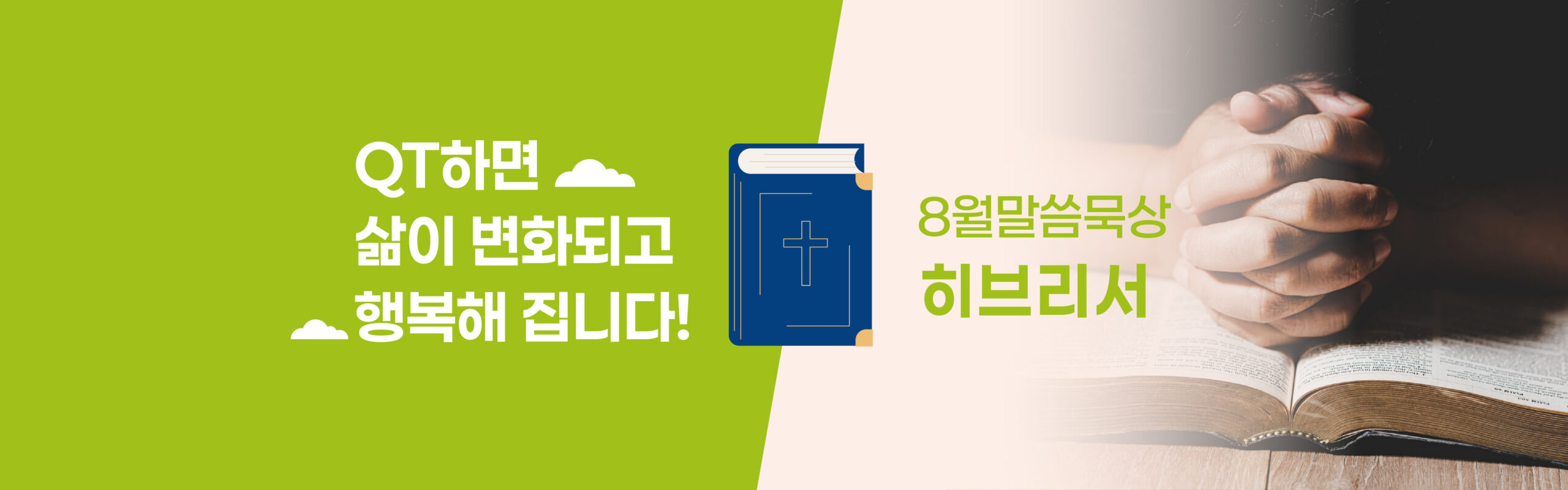 8월 qt